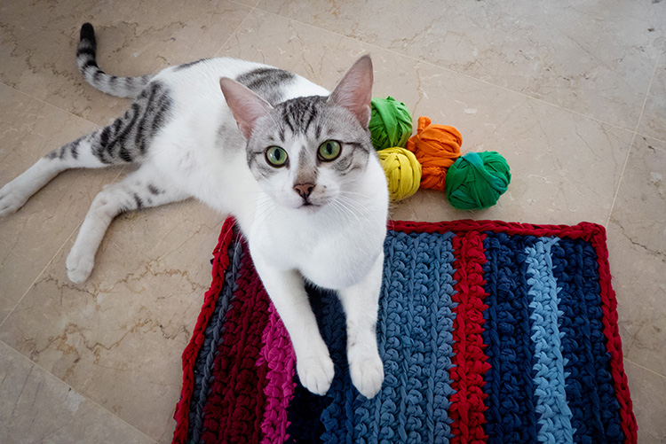 שטיחון לחתולים מחולצות טריקו