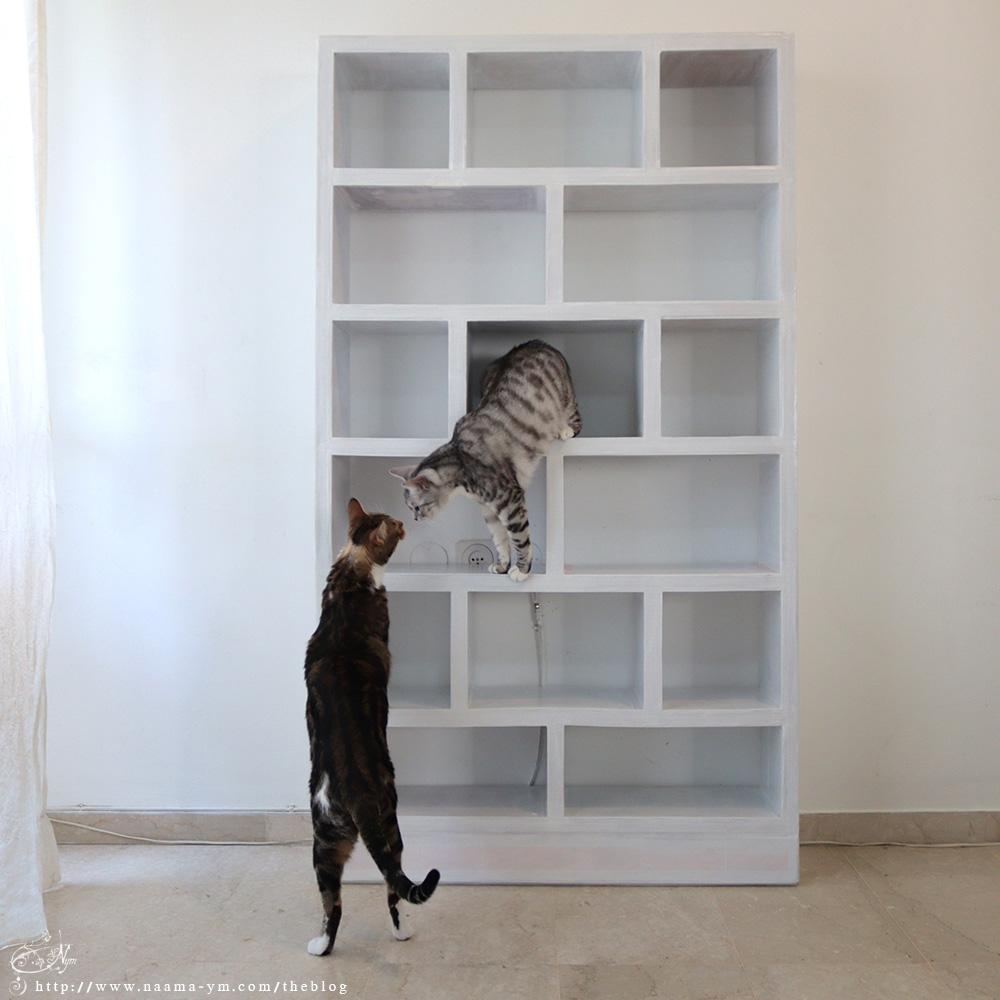 the shelving unit finished - with two cats