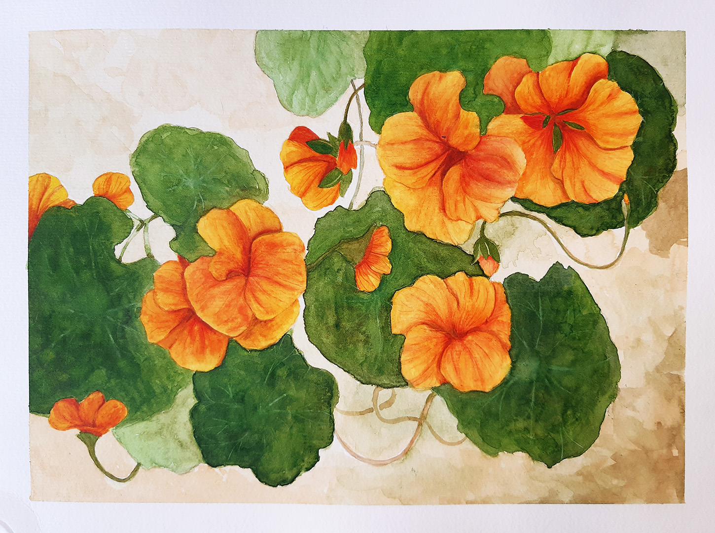 ציור פרחים כתומים בצבעי מים