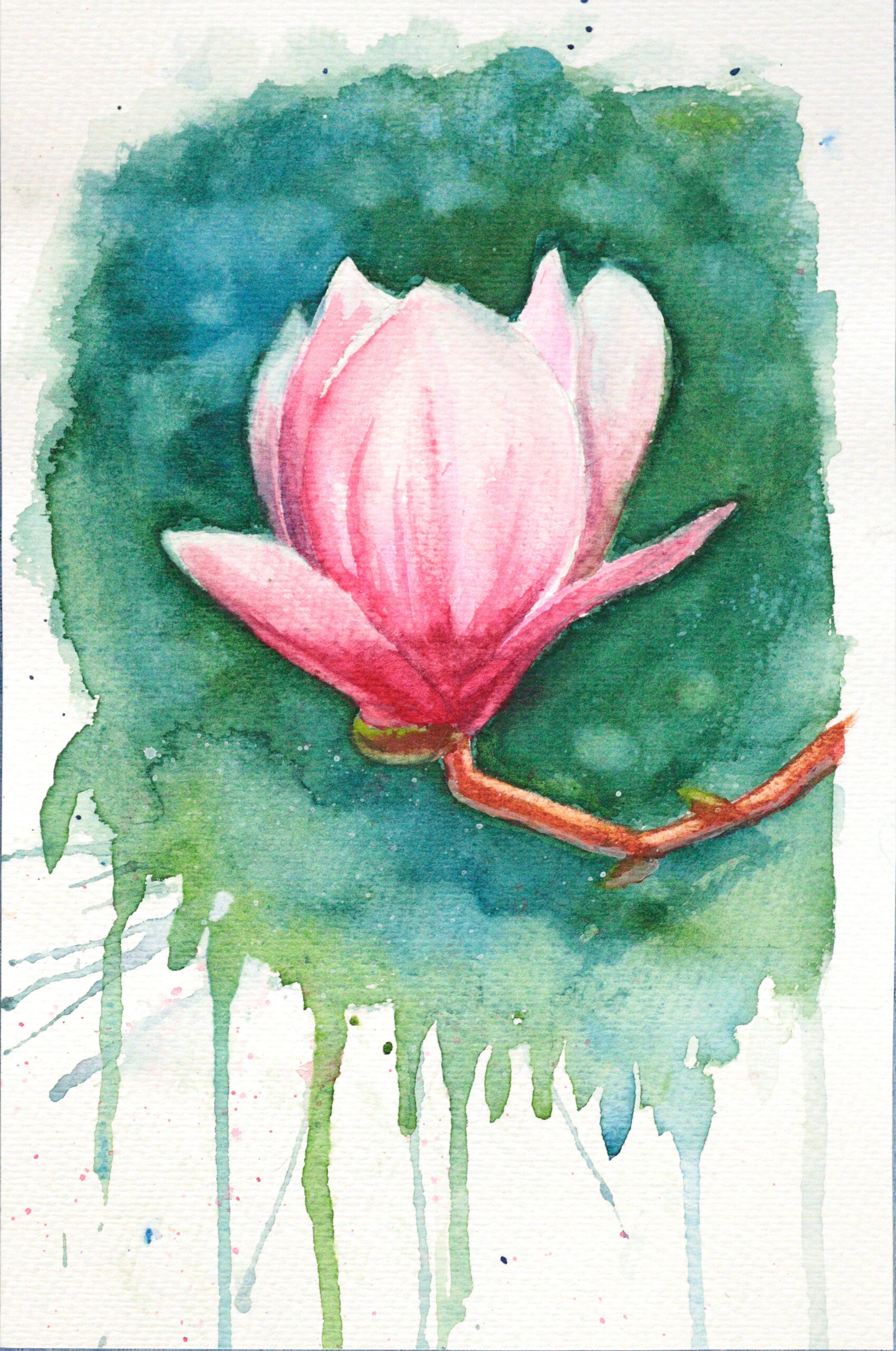 מגנוליה בצבעי מים