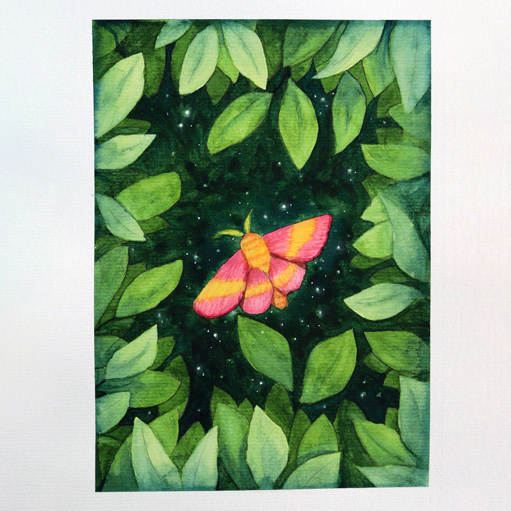 עש רוזי מייפל בצבעי מים